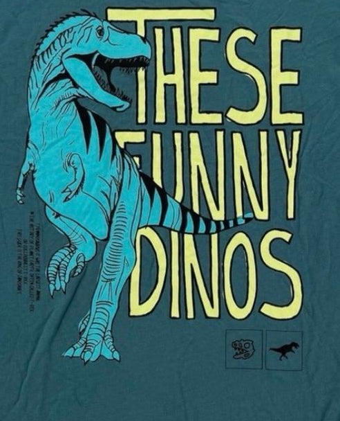 ZARA DINOSAUR PRINT T-SHIRT